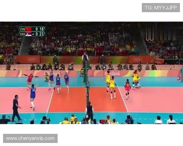 成都排球队快攻革新之路：战术变革与团队协作的完美结合